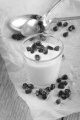 fresh yogurt in a glass with pomegranate seed