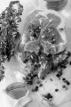 raw lamb chops with pepper, sea salt, thyme, garlic and oil