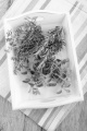 fresh oregano, thyme and rosemary on a white serving tray