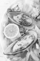 green lipped mussels from new zealand with salad and lemon on a plate