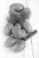 raw potato with fresh parsley and kitchen knfe