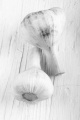 fresh red garlic on a white wooden table