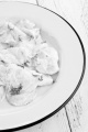 cucumber salad with sour cream and dill on a plate