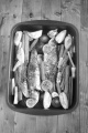 cooked sea bass with turnip, potato, carrot, lemon and thmye in an aluminium roaster
