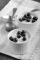 home made yogurt with blueberries in a bowl
