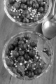 chocolate pudding with blueberries and mint in a glass bowl