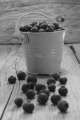 blueberries in a green bucket on rustic wood