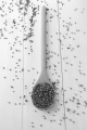 organic raw buckwheat on a wooden spoon